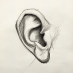 alfredgoldberg_a_sketch_of_a_human_ear_--v_6.1_30387b5c-ca07-48f0-86bc-f94239614baf_1